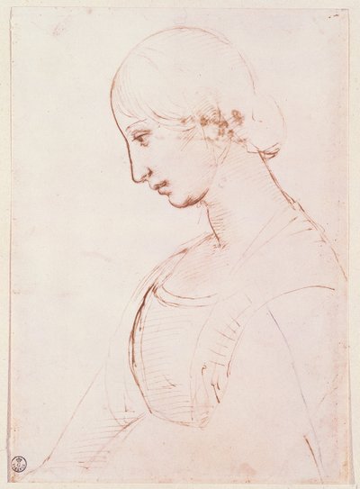 Porträt einer jungen Frau von Raffaello Sanzio Raphael